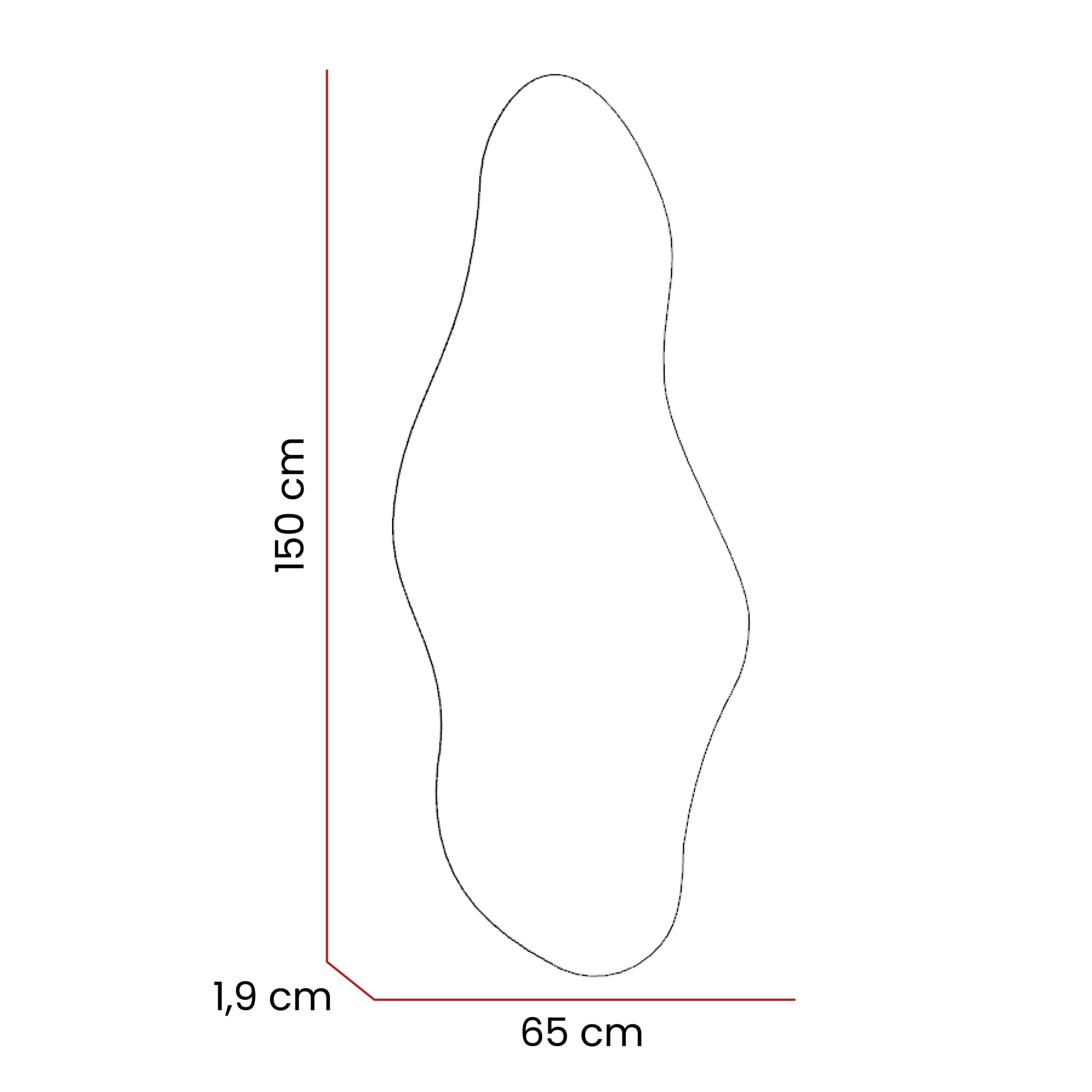 ESPEJO ARIES IRREGULAR CUERPO COMPLETO 150X65 CM - 7