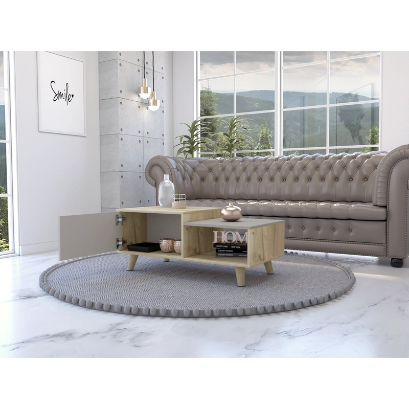 MESA DE CENTRO 2 PUERTAS BORA 41,6X100X50 CM DUNA Y TAUPE - 9