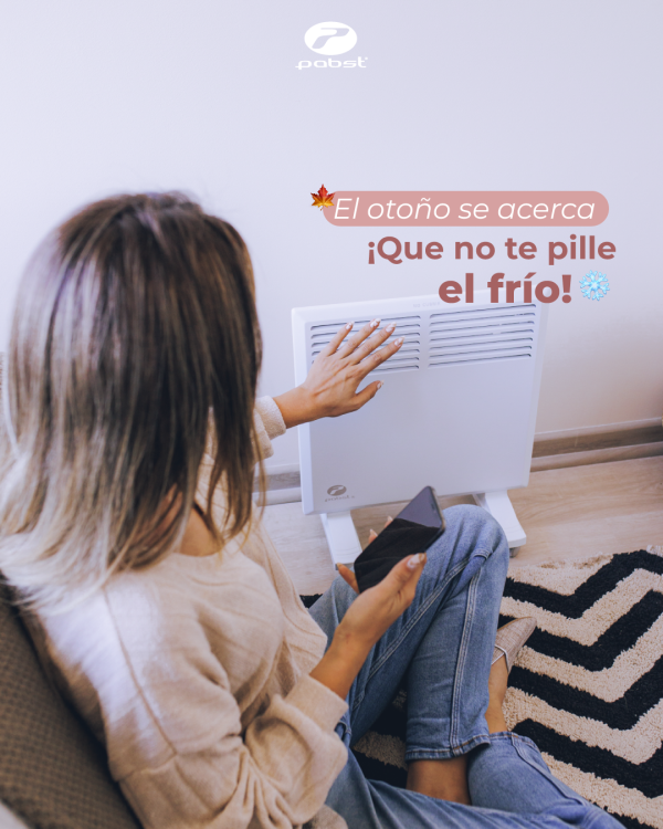 CALEFACTOR  ELÉCTRICO MODELO  ARRAYÁN 1000W - 4