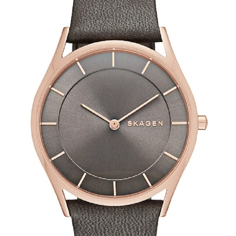 RELOJ SKAGEN MUJER SKW2346 - 1