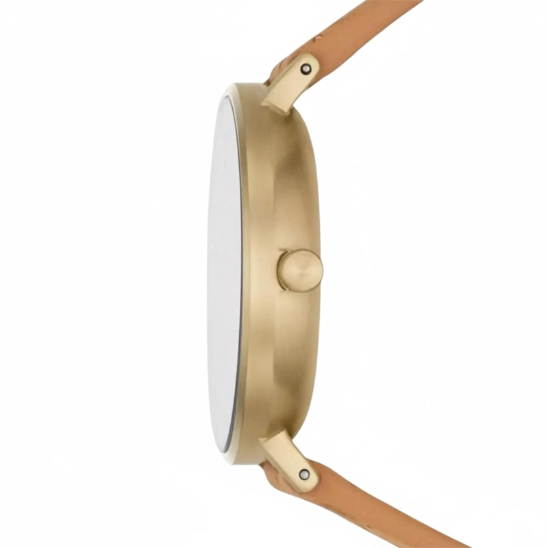 RELOJ SKAGEN MUJER SKW2974 - 3
