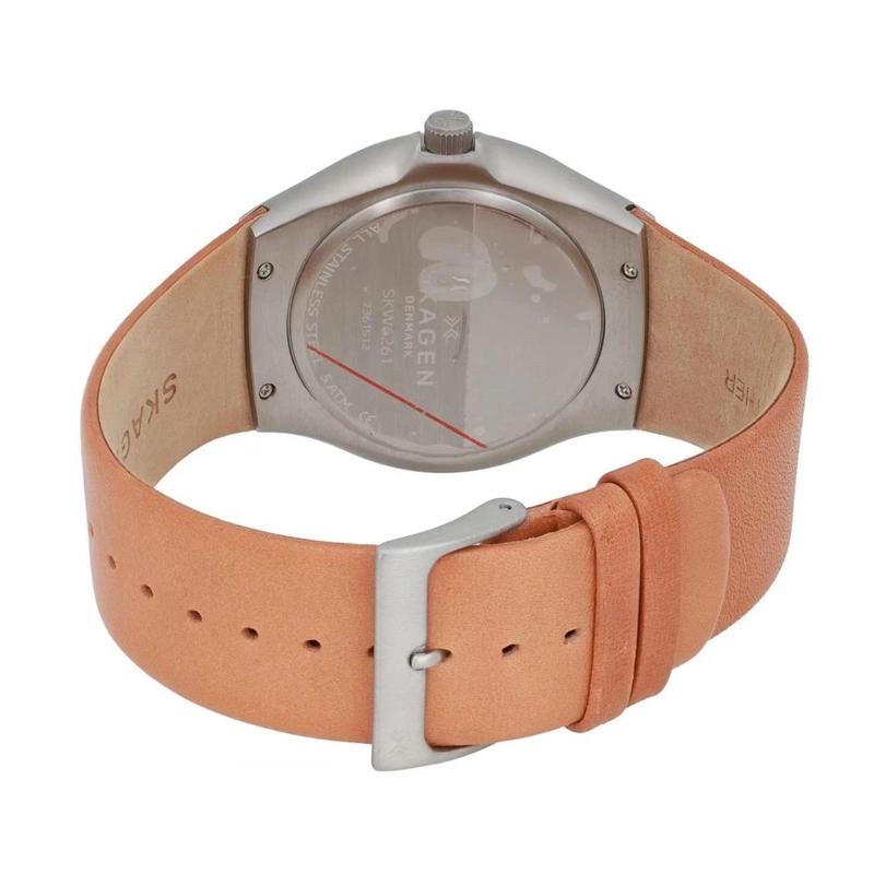 RELOJ SKAGEN HOMBRE SKW6261 - 4
