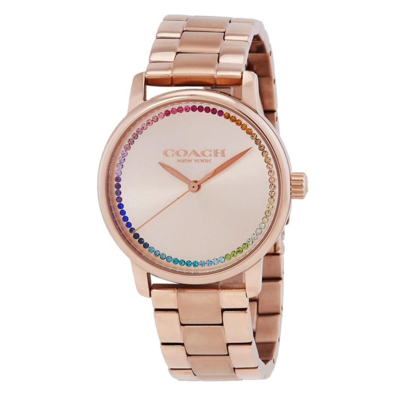 RELOJ COACH MUJER GRAND 14504064 - 2