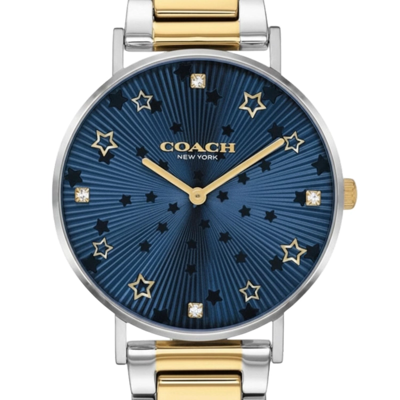 RELOJ COACH UNISEX PERRY 14503523 - 1
