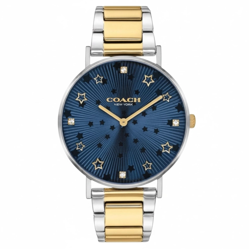 RELOJ COACH UNISEX PERRY 14503523 - 2