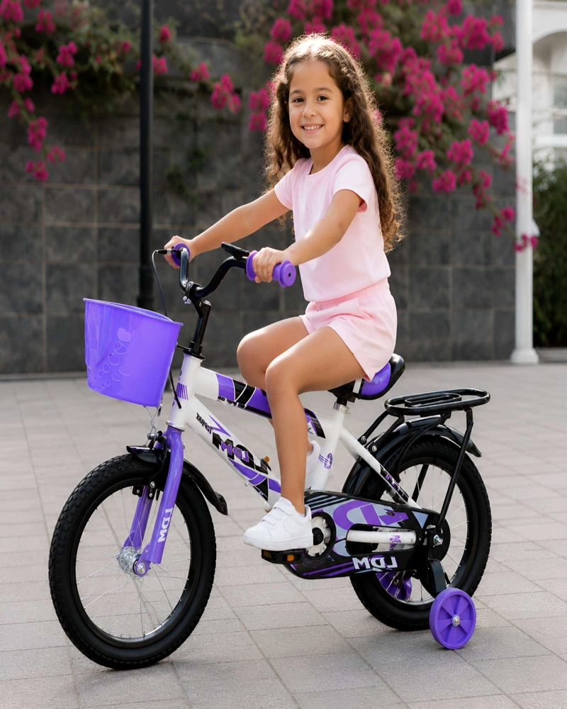 BICICLETA INFANTIL ARO 12 CON RUEDAS DE ENTRENAMIENTO Y CANASTO - 6