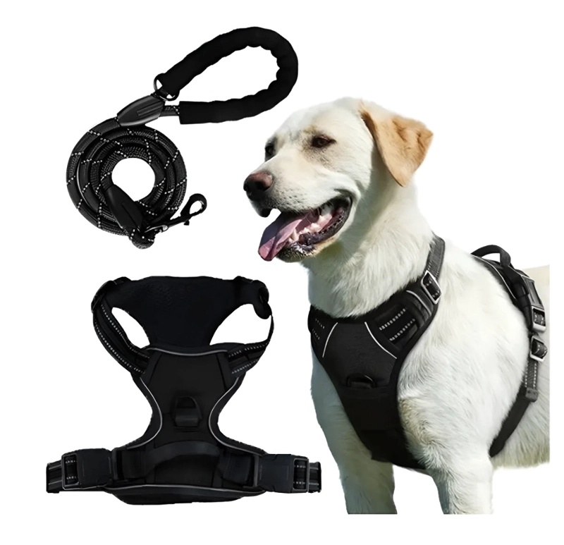 ARNES PERRO AJUSTABLE REFLECTANTES CON CORREAS XL - 1