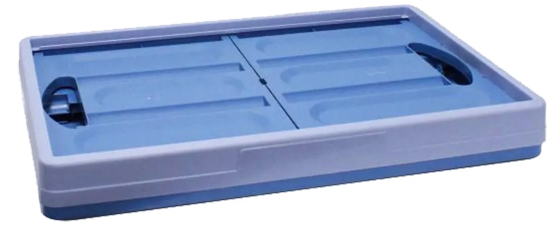 CAJA ORGANIZADORA PLEGABLE 48 LITROS - 2