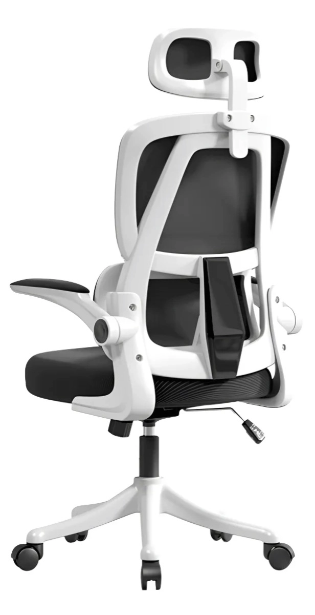 SILLA ERGONOMICA DE ESCRITORIO SOPORTE LUMBAR - 1