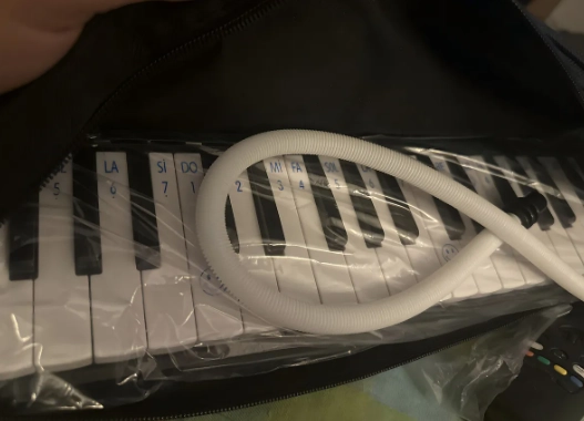 MELODICA 37 NOTAS FUSSEN CON ESTUCHE Y BOQUILLA BLACK - 2