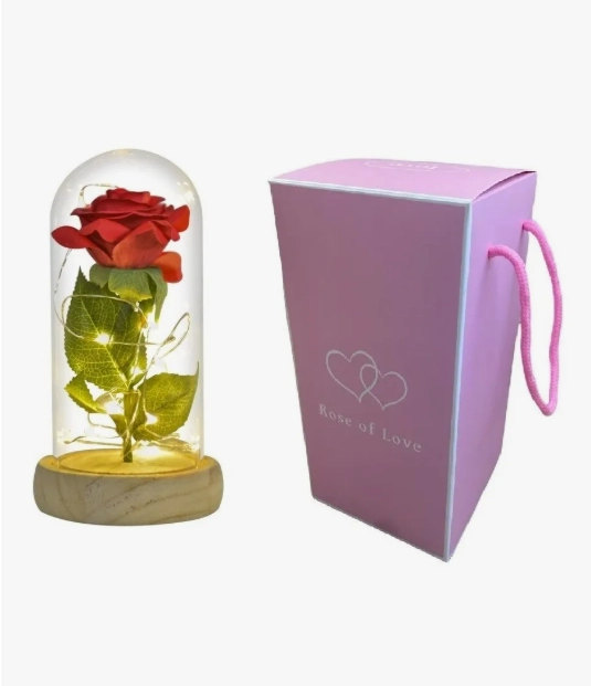 ROSA ETERNA - 1