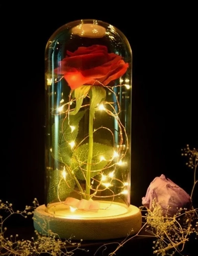ROSA ETERNA - 3