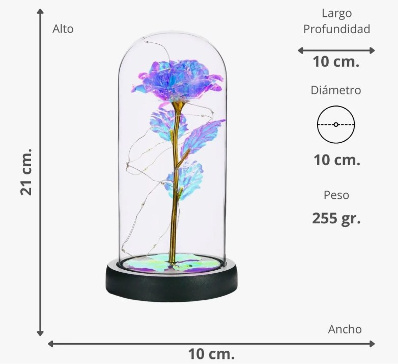 ROSA ETERNA LED CON CUPULA DE VIDRIO - 3