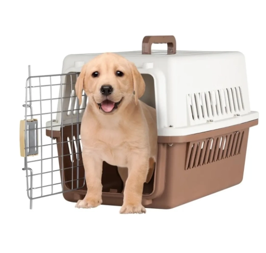 JAULA TRANSPORTE CANIL PERROS GATOS - 1