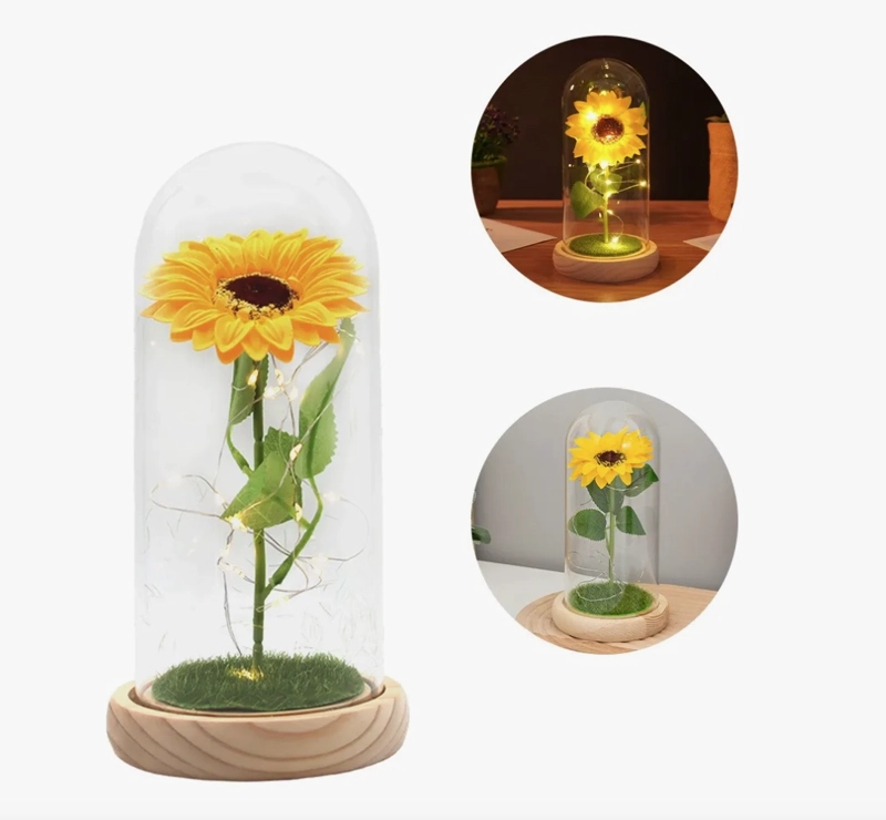 GIRASOL FLOR ETERNA - 1