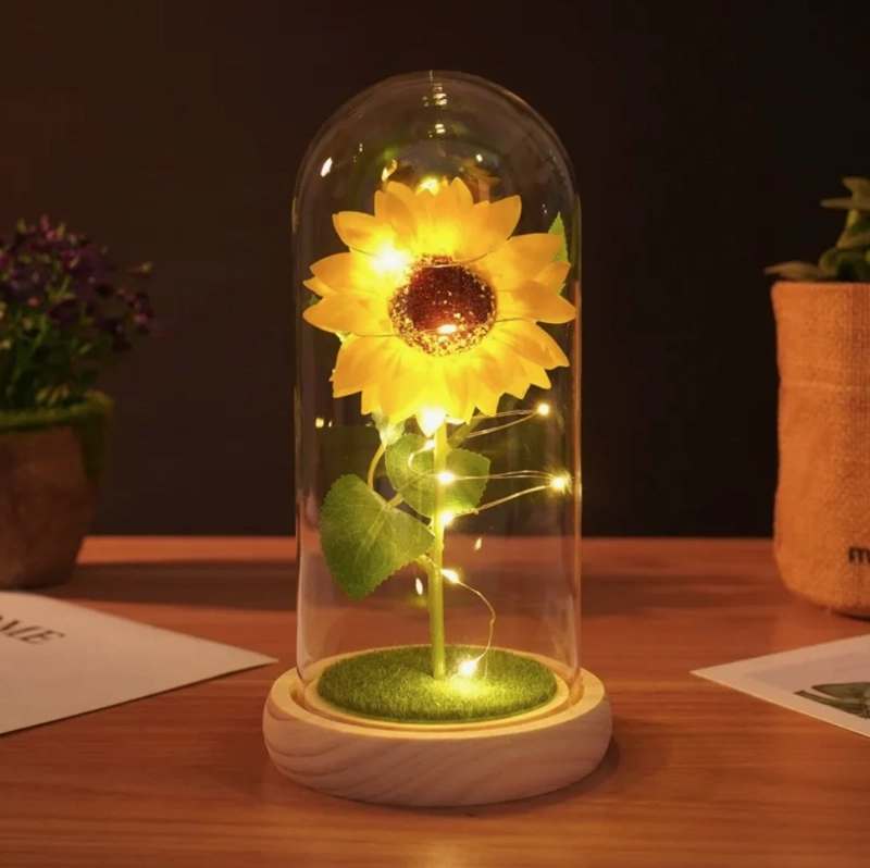 GIRASOL FLOR ETERNA - 5