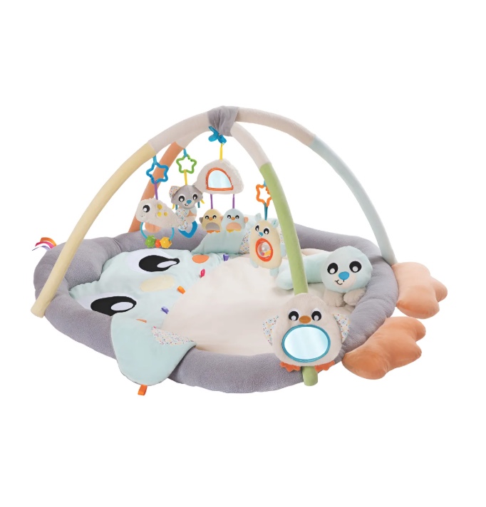 GIMNASIO ACURRUCAME PINGÜINO - 2