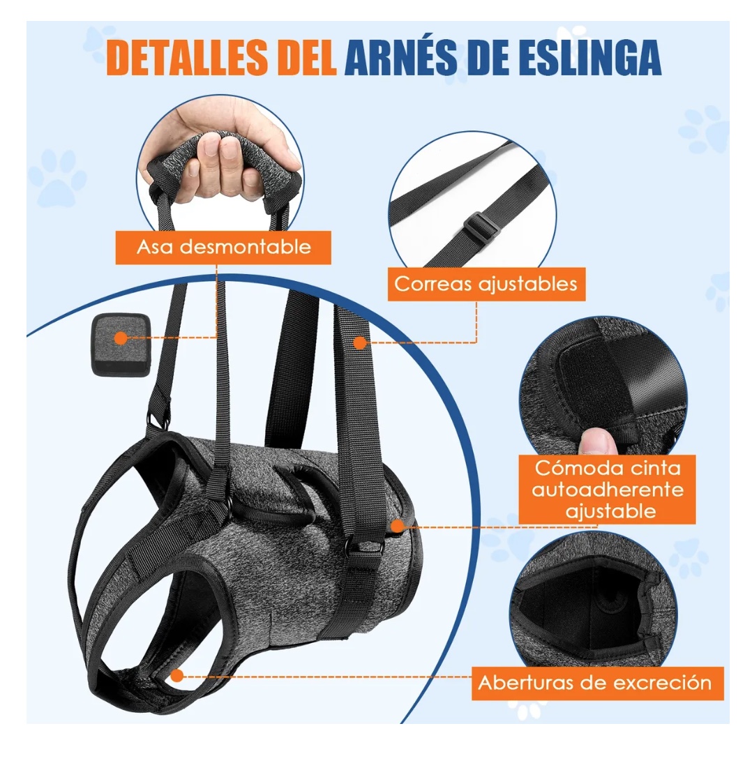 ARNES DE ELEVACION PARA PERROS - 2