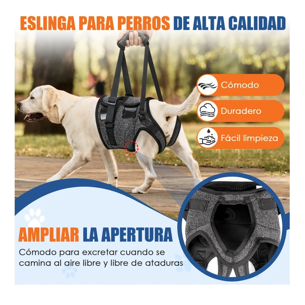 ARNES DE ELEVACION PARA PERROS - 3