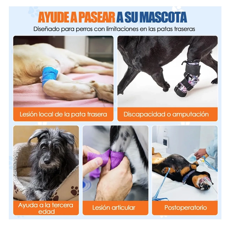 ARNES DE ELEVACION PARA PERROS - 4