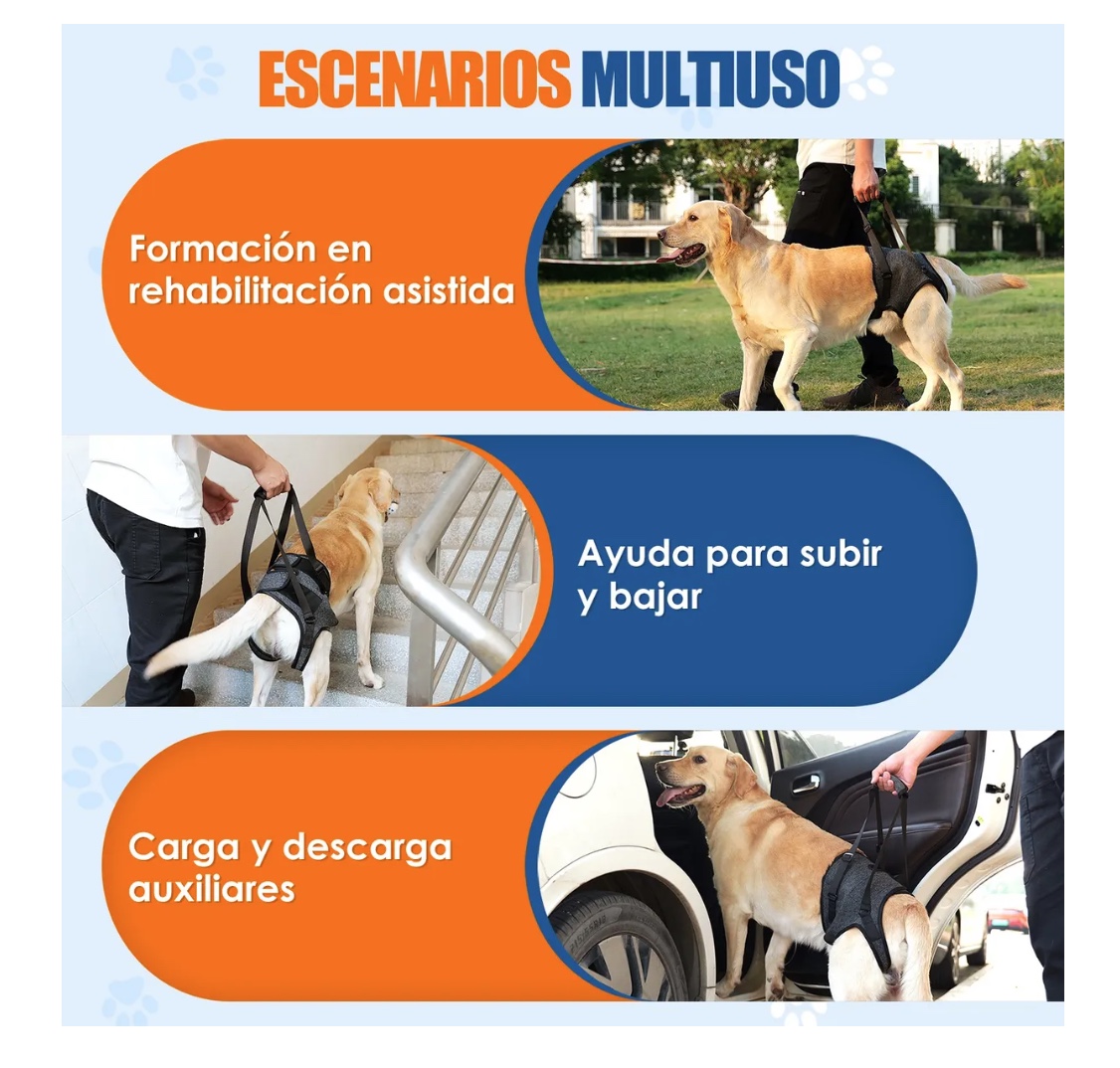 ARNES DE ELEVACION PARA PERROS - 5