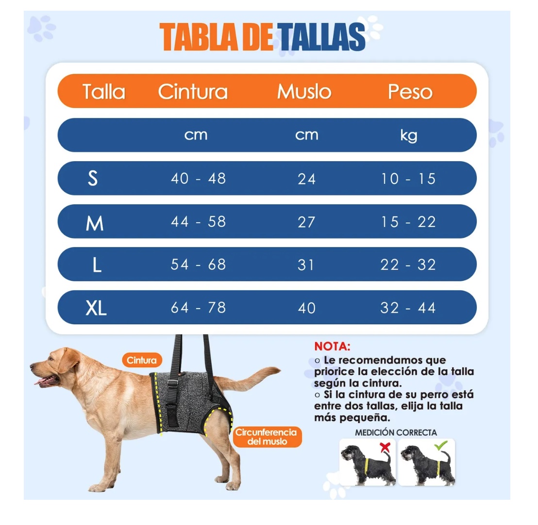 ARNES DE ELEVACION PARA PERROS - 6