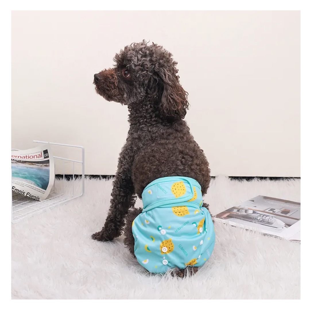 SET 3 PAÑALES LAVABLES Y REUTILIZABLES PARA PERROS L - 6