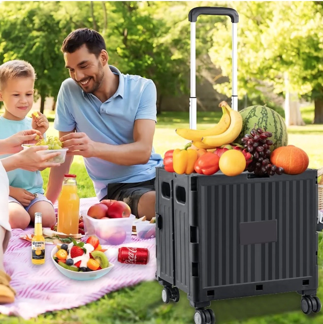 CARRITO PLEGABLE CON RUEDAS - 2