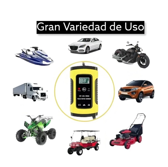 CARGADOR AUTO INTELIGENTE BATERIA 12V - 3