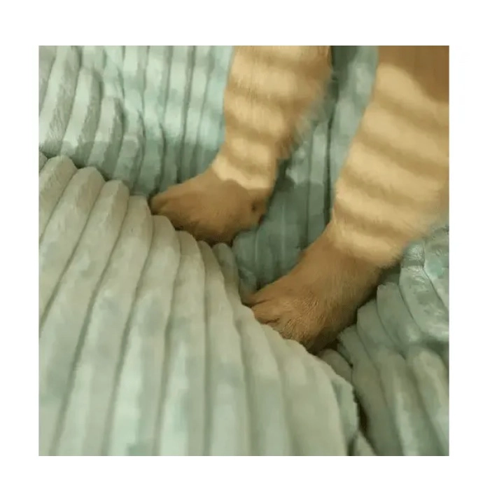 CAMA ORTOPE DICA ANTI ESTRE S PARA MASCOTAS - 5