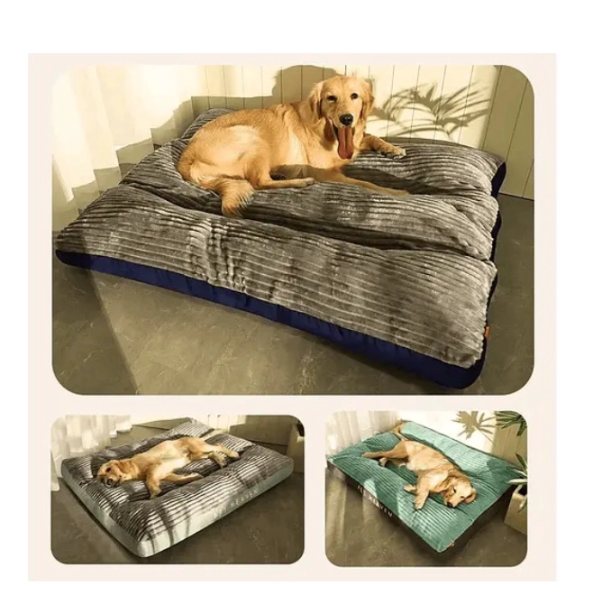 CAMA ORTOPE DICA ANTIESTRE S - 4