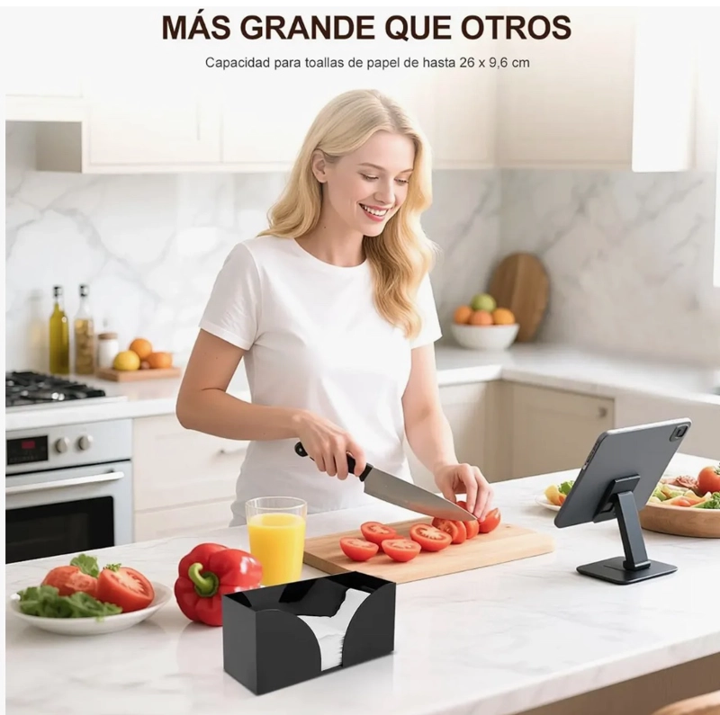 DISPENSADOR DE SERVILLETA - 2