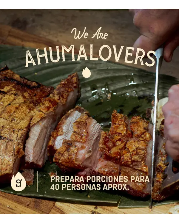 BARRIL PARRILLA AHUMADOR Y ASADOR INGRILL GRANDE BASIK - 9