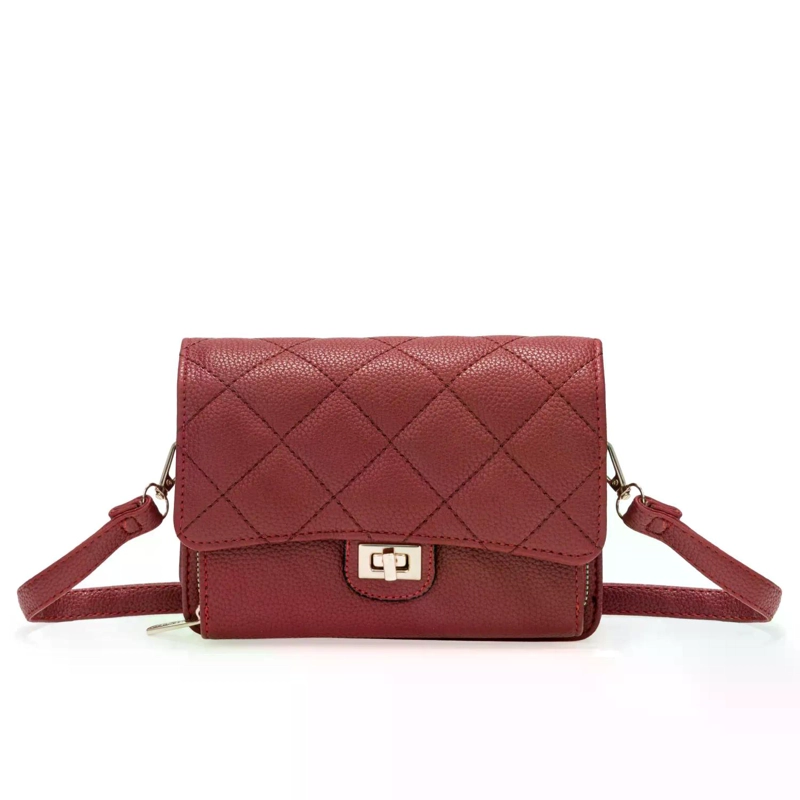 CARTERA DE VESTIR ARIANA - 1