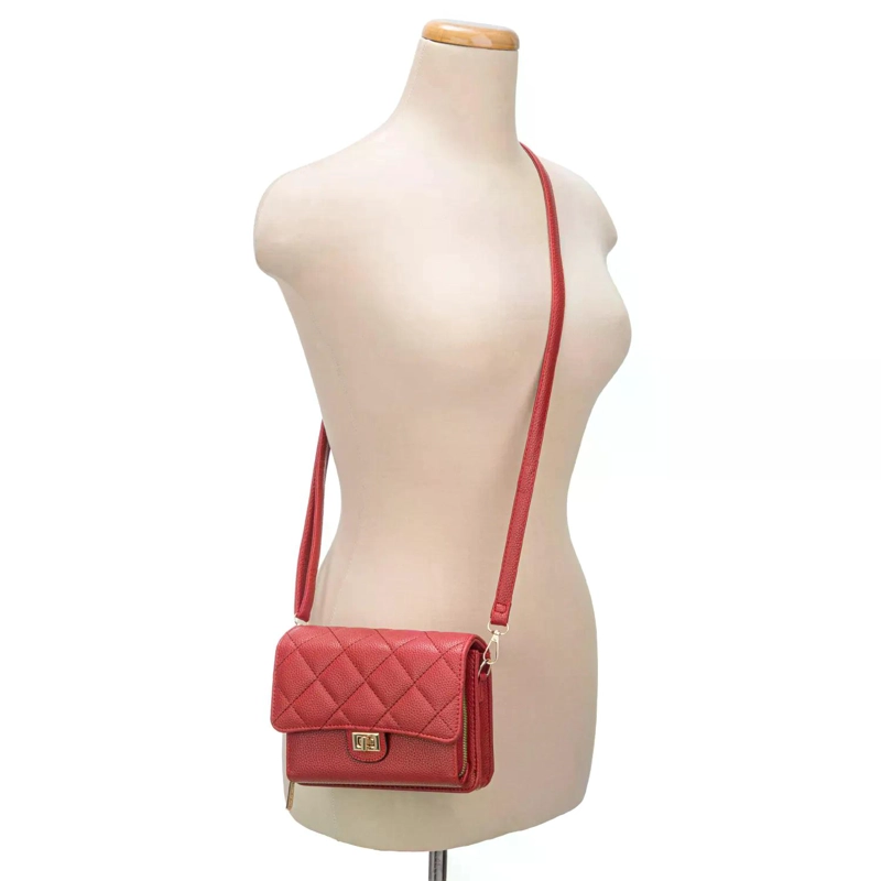CARTERA DE VESTIR ARIANA - 6