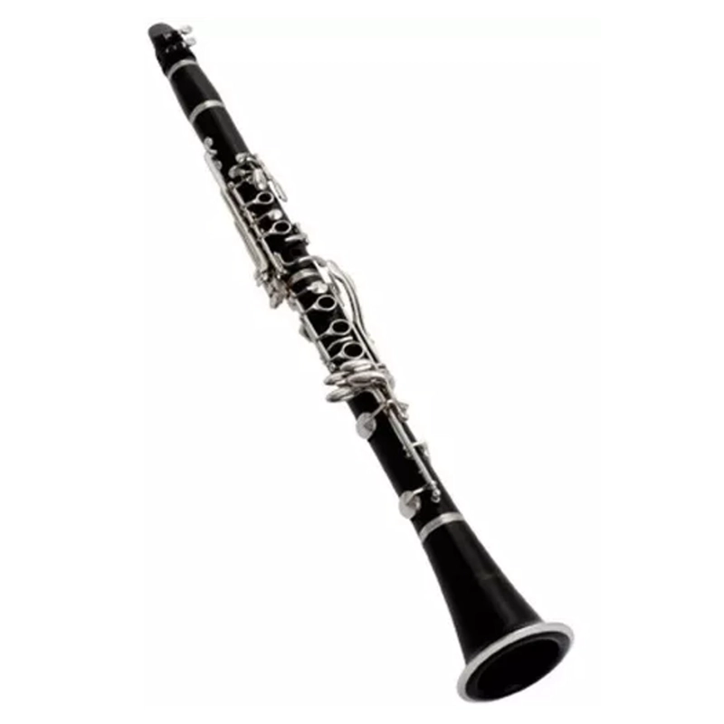 CLARINETE PARA PRINCIPIANTES FONTAINE FT 6402E - 1
