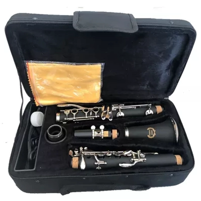 CLARINETE PARA PRINCIPIANTES FONTAINE FT 6402E - 2