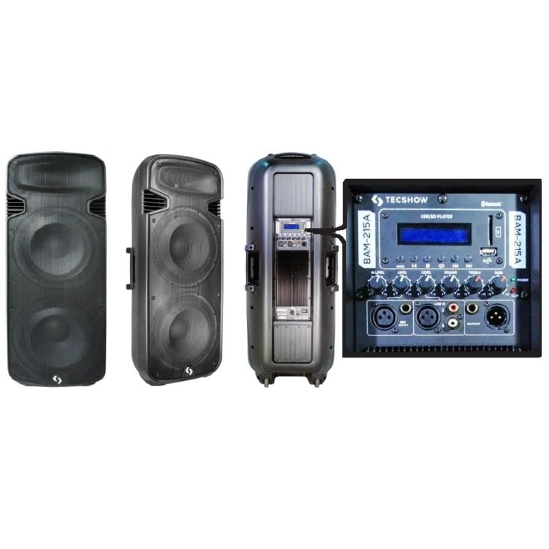 PARLANTE ACTIVO TECSHOW BAM 215A - 2