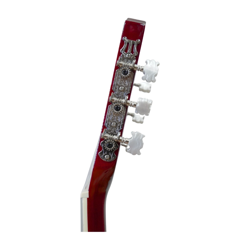 GUITARRA ACUSTICA ENJOY G3901 - 3