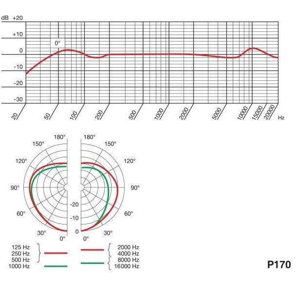MICROFONO CONDENSADOR AKG P 170 - 3