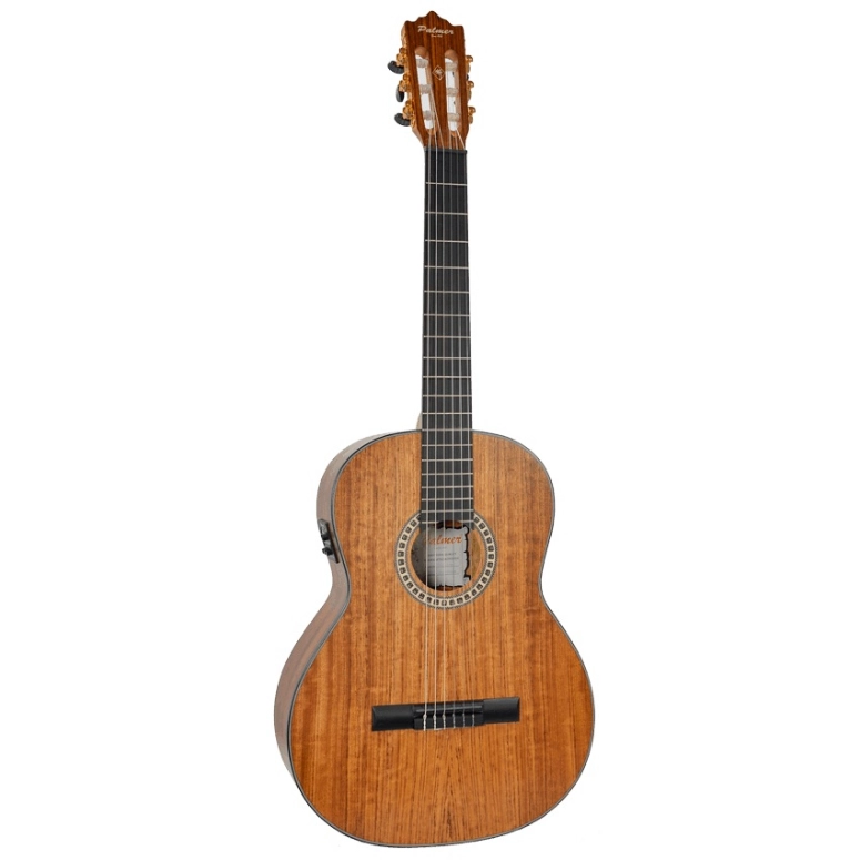 GUITARRA ELECTROACUSTICA PALMER PC-17EQ N - 1