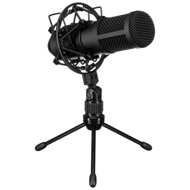 MICROFONO DINAMICO PROFESIONAL TASCAM TM-70 - 2