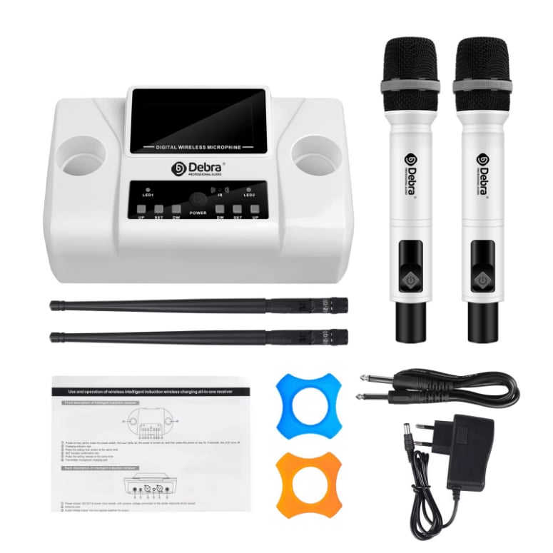 SISTEMA DE MICROFONO INALAMBRICO DEBRA WM-2W - 2
