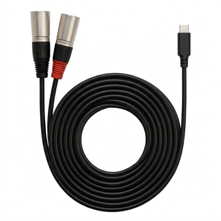 CABLE USB-C A 2 XLR MACHO NEBRASKA TCD-XL - 1
