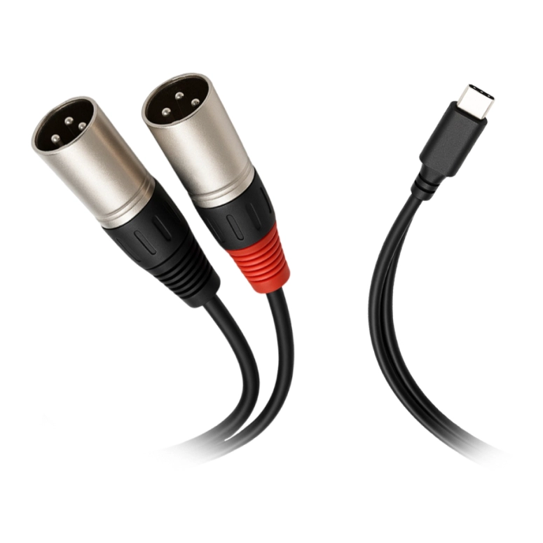 CABLE USB-C A 2 XLR MACHO NEBRASKA TCD-XL - 2