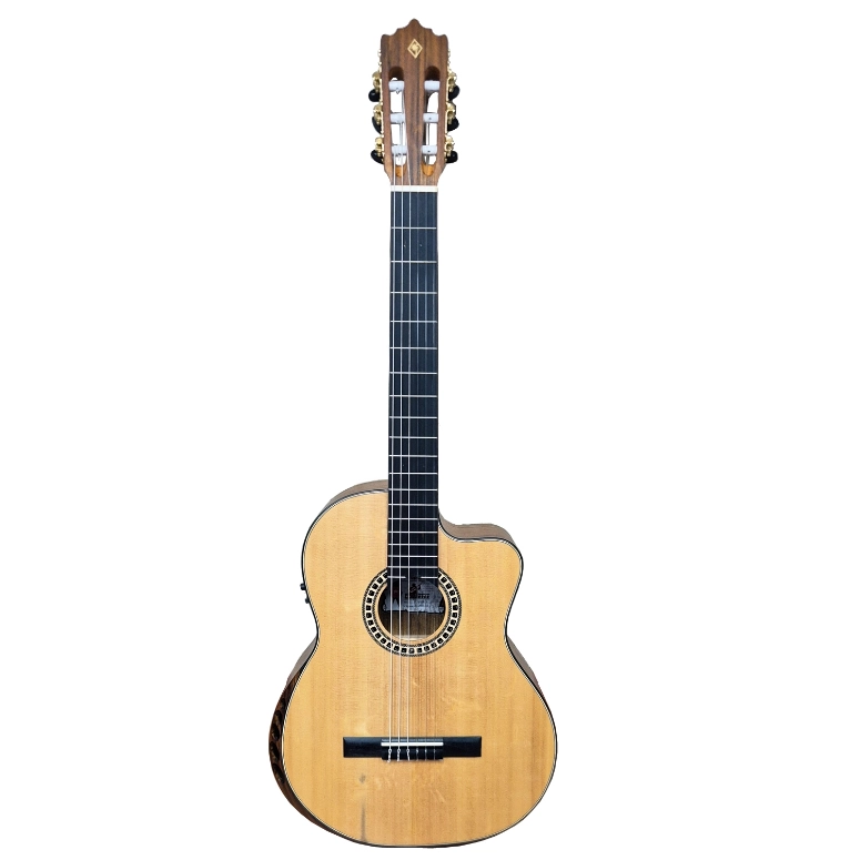 GUITARRA ELECTROACUSTICA PALMER PC-19 SEQN - 1