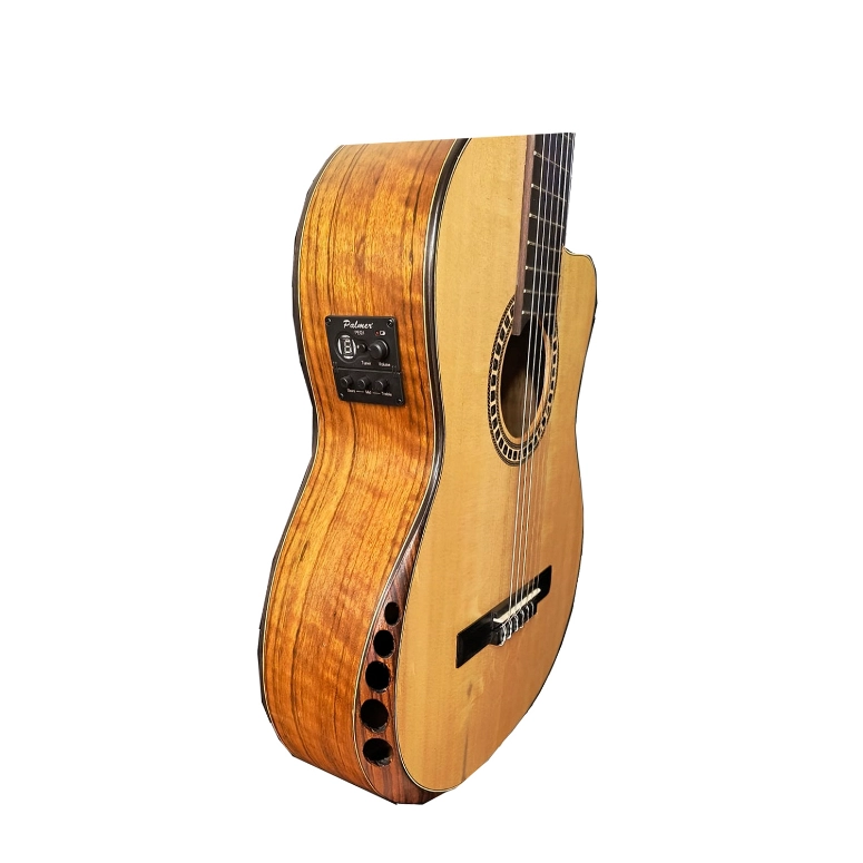 GUITARRA ELECTROACUSTICA PALMER PC-19 SEQN - 2