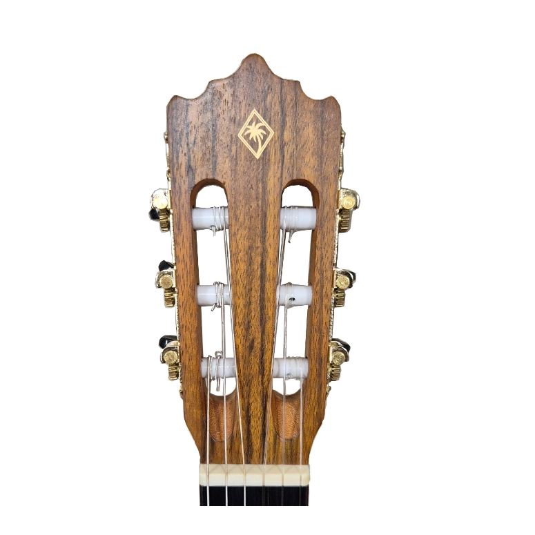 GUITARRA ELECTROACUSTICA PALMER PC-19 SEQN - 3