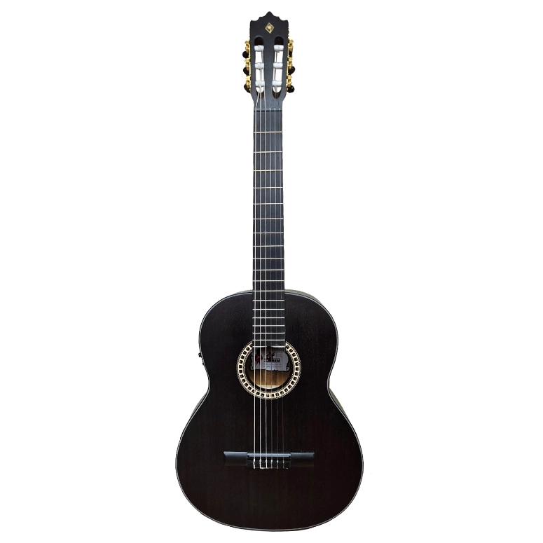 GUITARRA ELECTROACUSTICA PALMER PC-17EQ TBK - 1