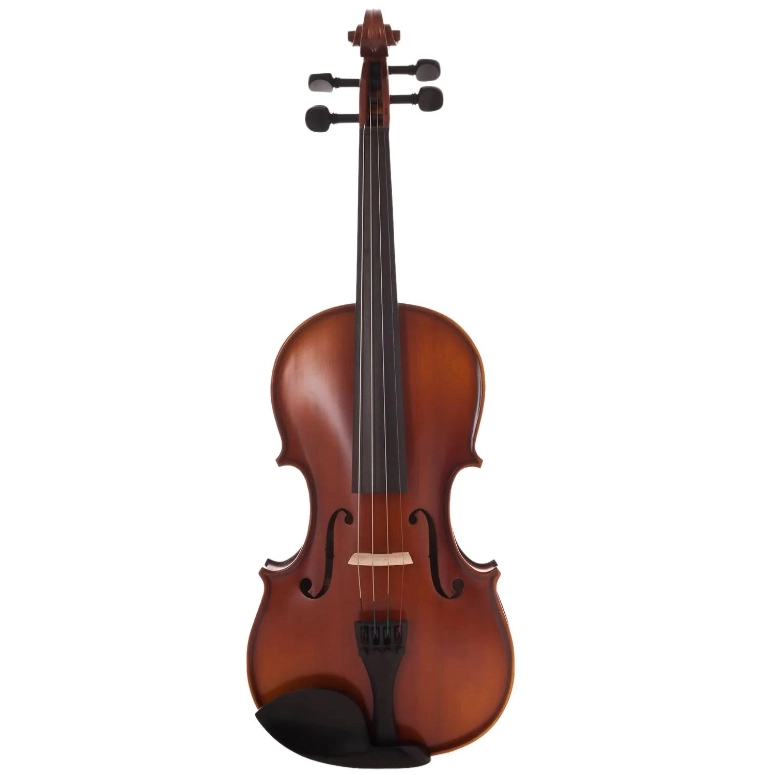 VIOLIN GEWA PS401.621 VIOLIN 4/4 - 1